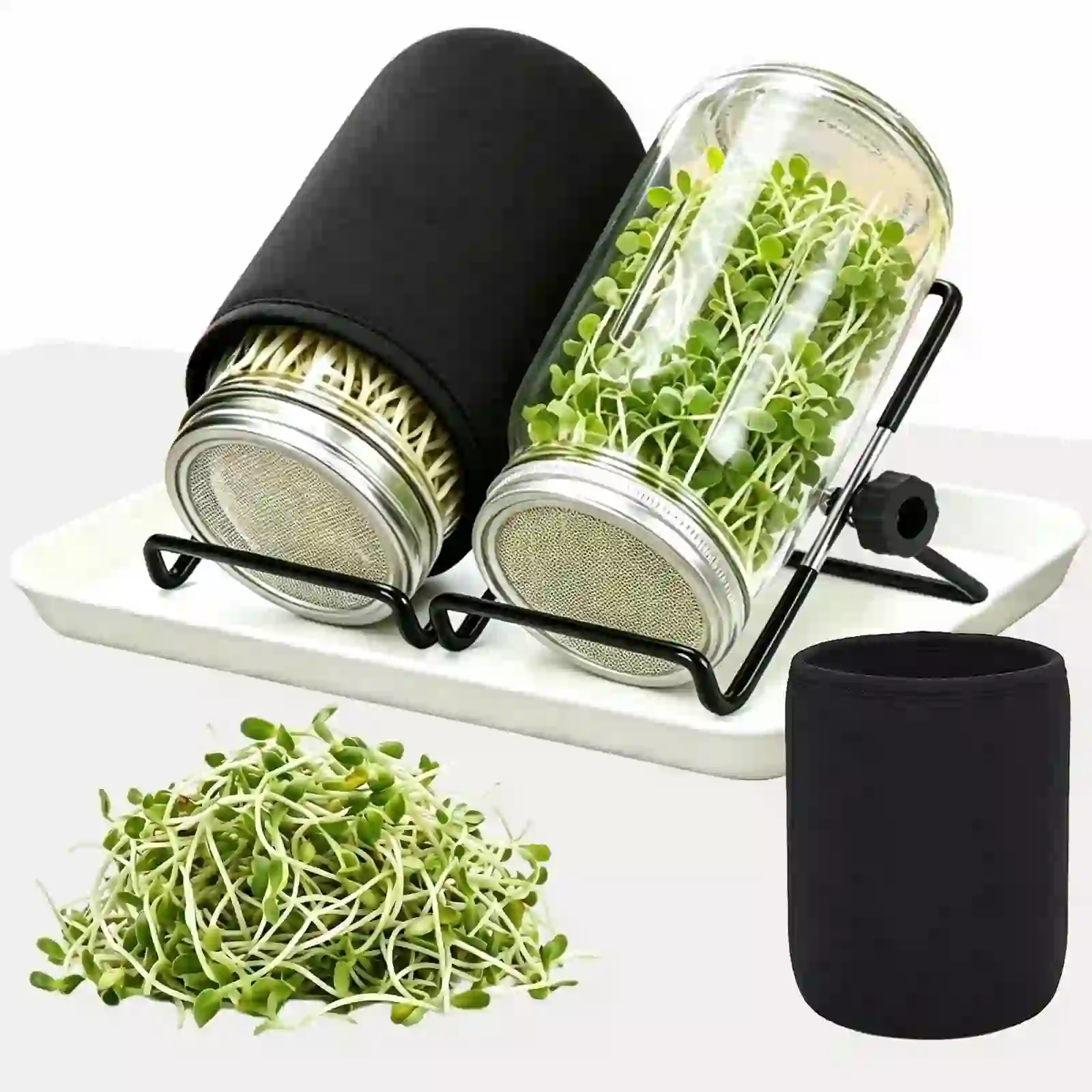 2 Set Sprouting Jar Kit