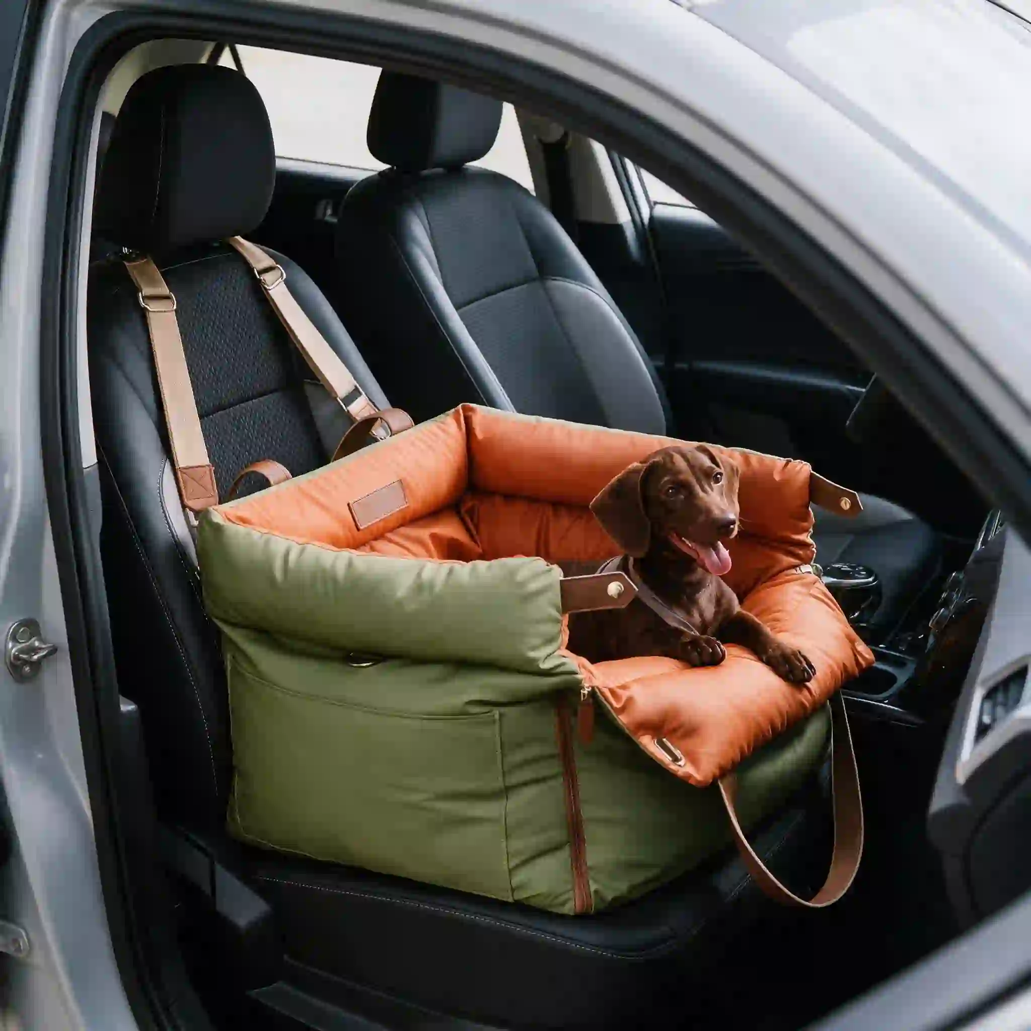 Dog Car Seat for Small & Medium Dogs up to 35 lbs
